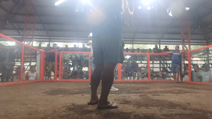 talo naman, para d lang panalo