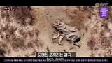 EXTREME DEBUT : WILD IDOL EP 7