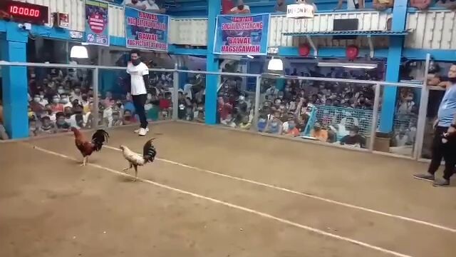 naka chamba ng isa sa mandaluyong