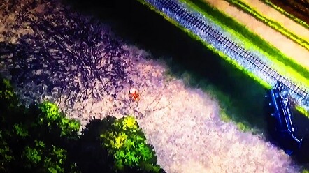 [หนัง&ซีรีย์]เมื่อเหล่าเสาหลักได้รู้ข่าวการตายของเรนโงคุ เคียวจูโร่