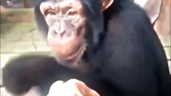 مهما تطورنا أو اختلفت مساراتنا، تظلّ صلة الدم تجمعنا كإخوة حقيقيين!