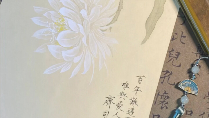 A once-in-a-century bloom appears—only to be shared with the one you love.