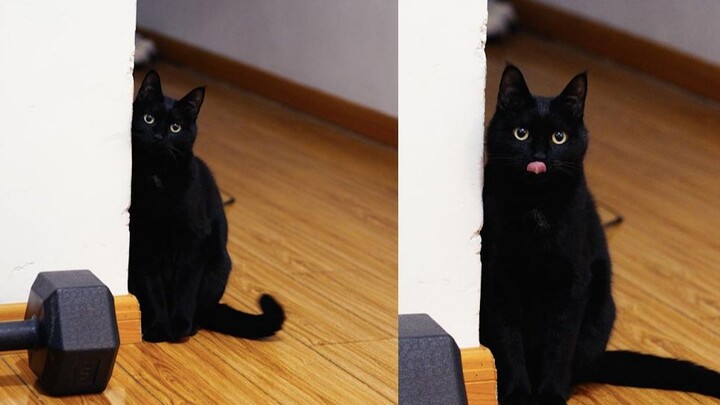 Nũng nịu tí đã!