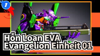 [Hỗn Loạn EVA] Dựng mô hình GK RG Evangelion Einheit 01_1