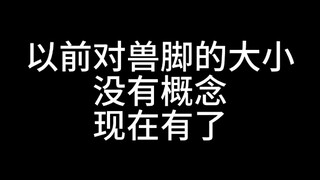 How big is the beast costume, exactly?