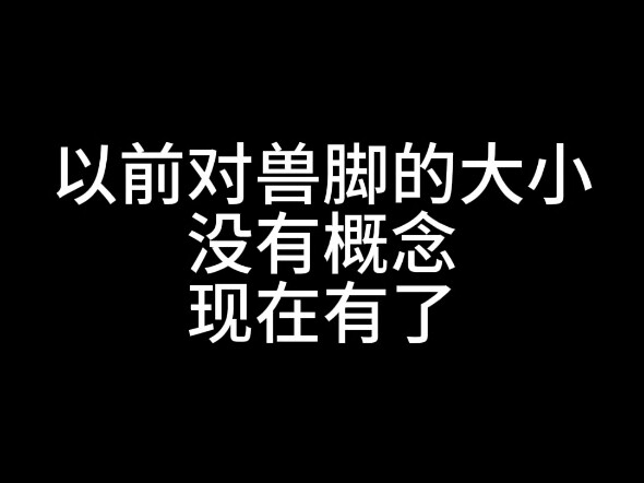 How big is the beast costume, exactly?