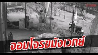 จอมโจรขมังเวทย์ เด็ดใบฝรั่งถูมือ กันตร ตามกลิ่น เจ้าของบ้านเซ็งโดน 3 รอบแล้ว