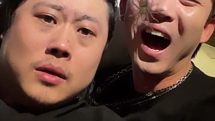 I think Dad’s final reaction was probably on purpose...