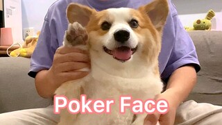 Tarian Boss Pi丨Poker Face