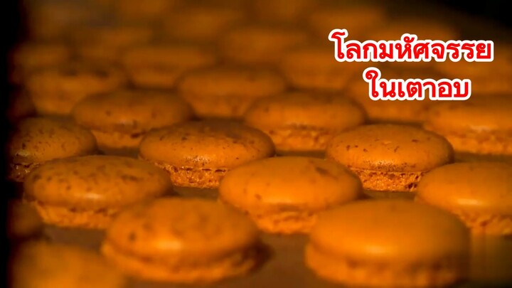 โลกมหัศจรรย์ ในเตาอบ