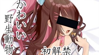 【璃鱼片】超管：就这？
