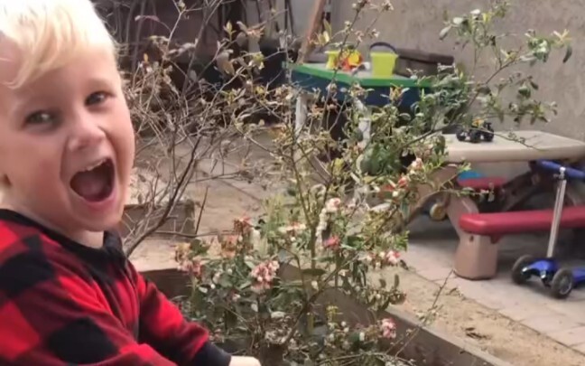 Tuổi thơ hạnh phúc