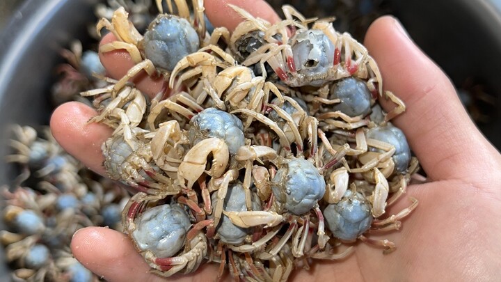 Hari ini masih jual kepiting pasir, terus laris manis!