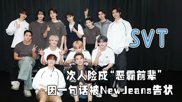 น่าหวาดเสียว! สมาชิกวง SEVENTEEN ก็เกือบถูกฟ้องร้องต่อรัฐสภาเหมือนกัน!