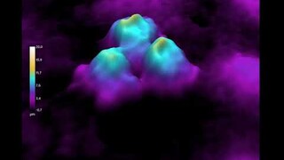 abberant cell division