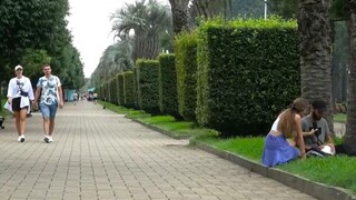 Couple cheering for the ball on the roadside