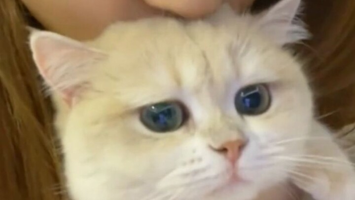 “Damn it! I’m gonna get drained dry again!”