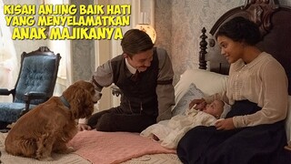 Kisah Anjing Baik Hati Yang Menyelamatkan Anak Manusia | Alur Cerita Film LADY AND RHE TRAMP
