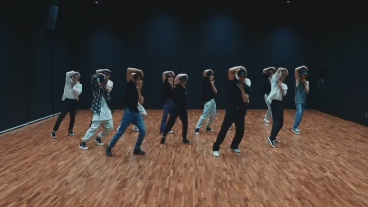 Studio Ngôi Thứ Hai và Don Quixote