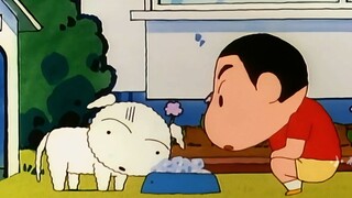 "The Big Liar Potato and His Unlucky Cotton Candy"