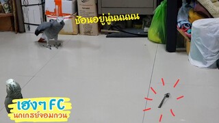 EP.225 มีช้อนแล้วพี่เฮงไม่ค่อยพูด สงสัยต้องโยนทิ้งละม้าง
