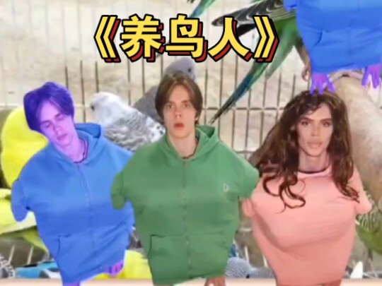 养鸟人belike：