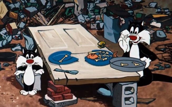 The old cat’s tragic life: he caught 20,000 mice in one breath.