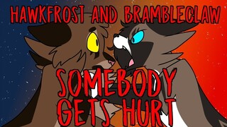 [Brambleclaw and Hawkfrost PMV] Somebody Gets Hurt (CW: Eyestrain, Blood) (By Draikinator)