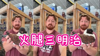 给你们看一个可爱的东西！