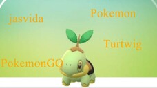 Turtwig Pokemon