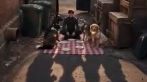 After Leaving the Team, I Became a God with Four Dogs HD