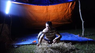 Hai chú Béo chơi nhà chòi. Đi Bắt cá nướng rơm - Bin Đen Miền Tây # 247