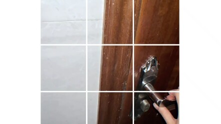 القط: عذراً، أُصِبتُ بنزلة برد قليلاً، وحلقي جاف بعض الشيء.