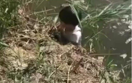 I found this while fishing—had I not seen it, the consequences would have been unimaginable. I’m sha