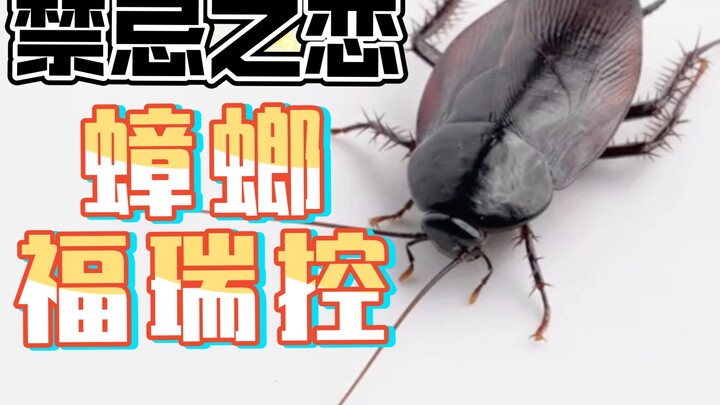 الحب المحرّم: مهووس بالفرويّة الصراصير