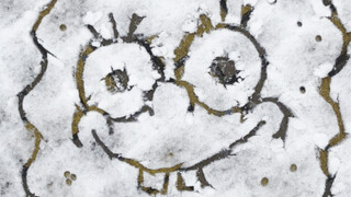 集齐雪地比奇堡三兄弟！