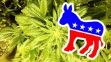 Conservative Democrats FACEPLANT On Weed