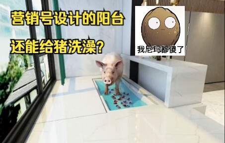 Can you really bathe pigs on the balcony? Examining popular online home renovation videos