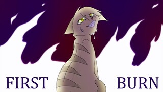 FIRST BURN - Sandstorm PMV