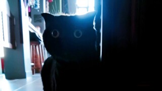 千岁岁被吓破胆了！