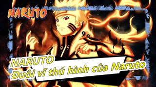 [NARUTO] Những cảnh chiến đấu huyền thoại - Đuôi của Naruto biến thành Vĩ thú hình, ngầu quá đi!