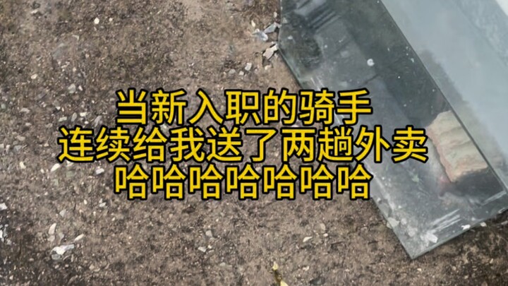 怎么会有人笨的这么可爱