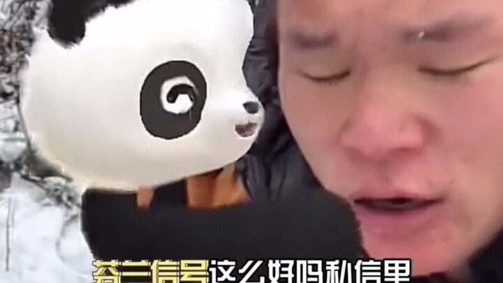 Giant Panda: I was like, why am I even here in the Arctic?