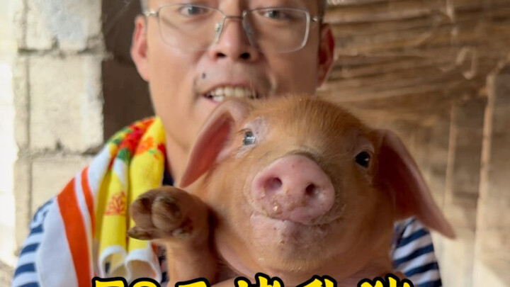 หมูหัน 58 หยวน