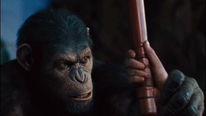 Rise of the planet of the apes | part 3