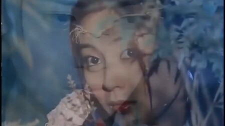 到最后，感觉什么都好！倚天屠龙记   越漂亮的女人越会骗人  语录