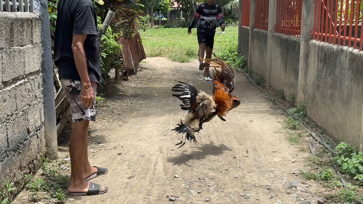 Peruvian & Sweater Grey