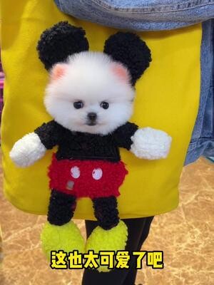 Si kecil menggemaskan ini benar-benar sangat manja sama kakak perempuan, sampai-sampai saat dimasukk