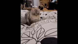 นี่แน่ะ