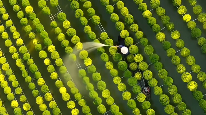 ศิลปะเกิดจากชีวิต